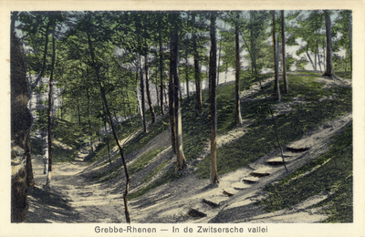 12141 Gezicht in het bos van de Zwitserse Vallei op de Grebbeberg te Grebbe bij Rhenen.